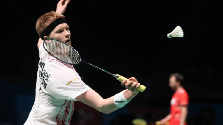 斗类派对游 斗类派对游